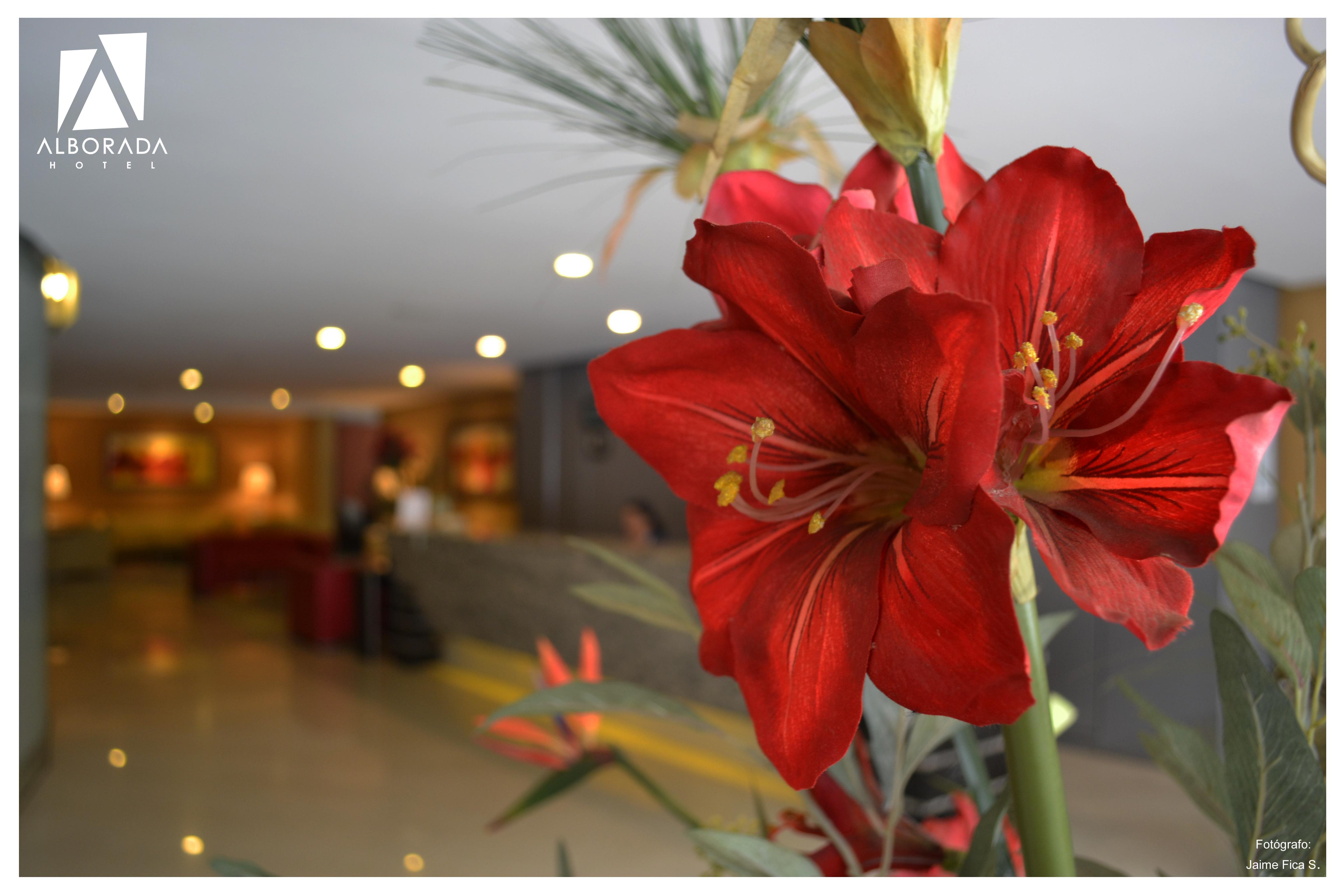 Hotel Alborada Concepción Kültér fotó
